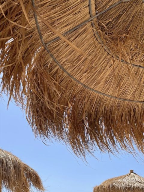 Sundays are for beach and online shopping 🛍️ ☀️ seiboutique.com #online #shopping #seiboutique #cyprus